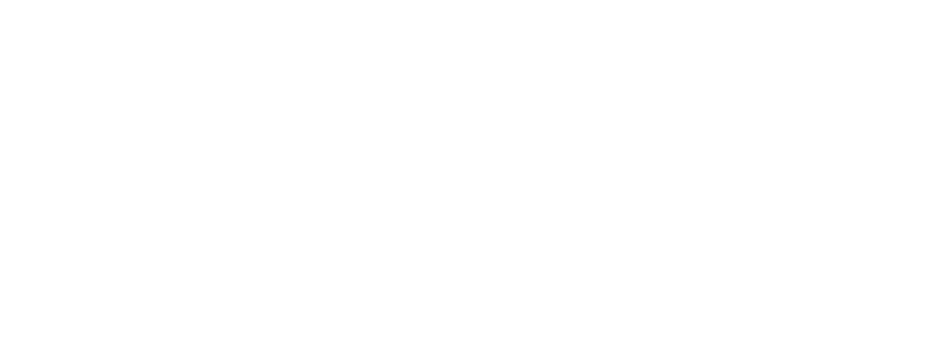 Logo Full White